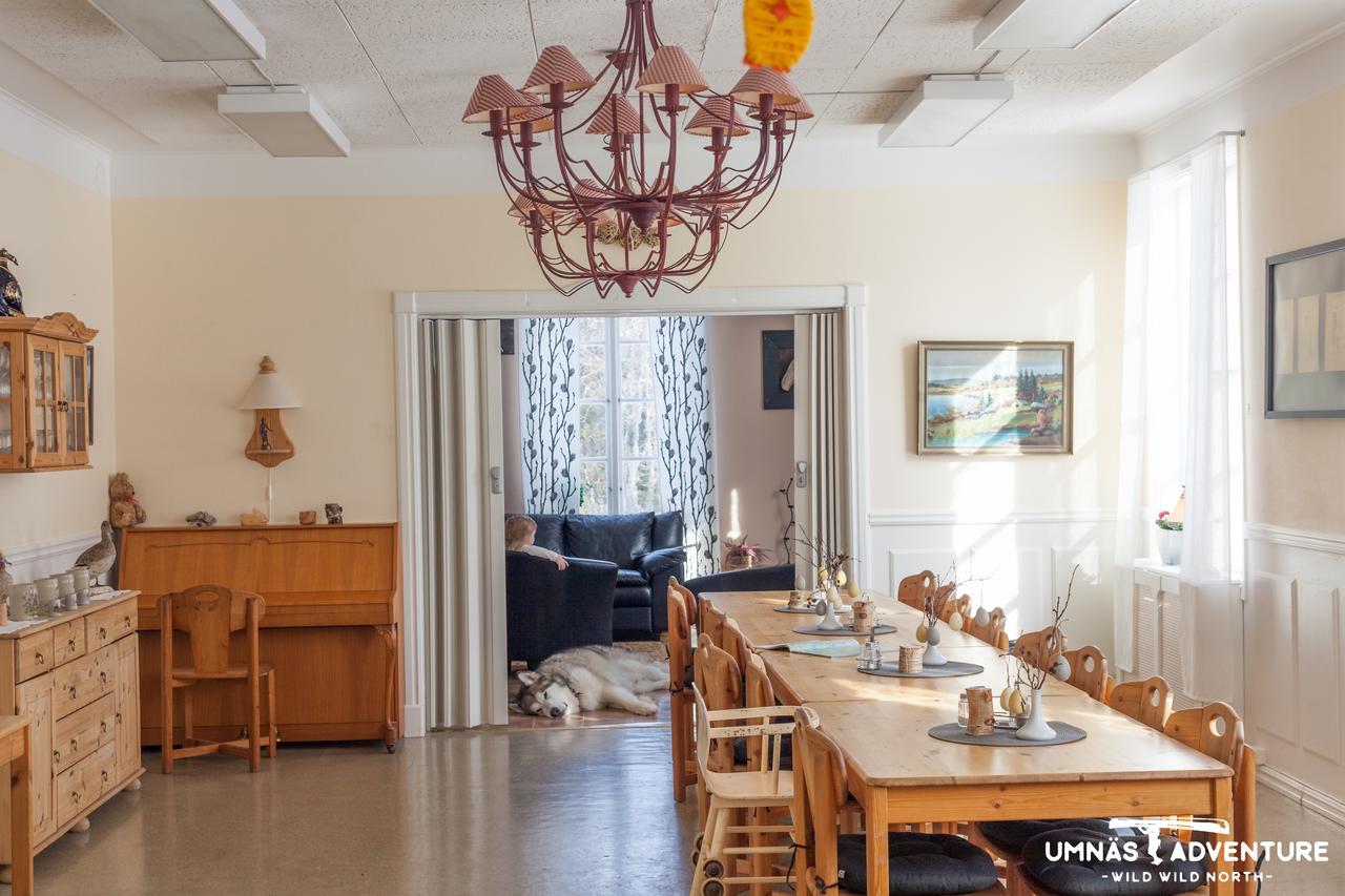 Umnas Adventure Hotel Storuman Buitenkant foto