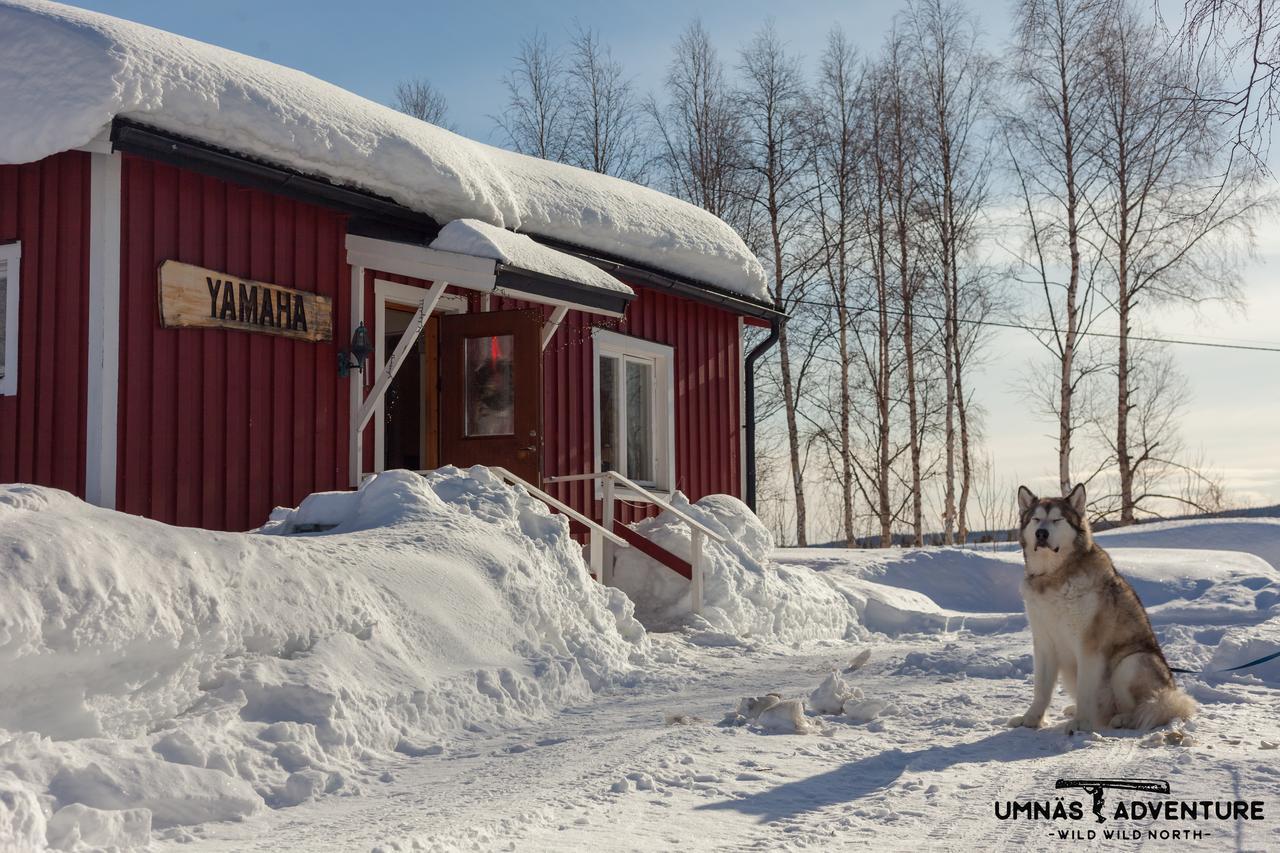 Umnas Adventure Hotel Storuman Buitenkant foto